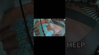 Cute Talking Dog Wants Mom Cuddles