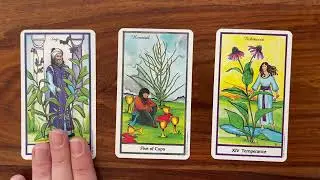 Power up! 24 April 2023 Your Daily Tarot Reading with Gregory Scott