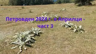 Петровден 2024г. в Априлци - част 3.