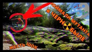 ПОЙМАЛИ ДИКОГО МУТАНТА В ЧЕРНОБЫЛЕ // МУТАНТ СЛОМАЛ НАМ  КАМЕРУ