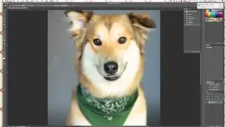 Basic leash removal in Photoshop CS6
