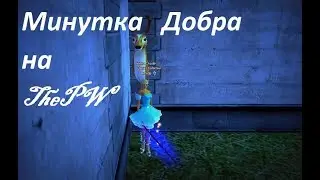 ThePW 1.3.6. Минутка добра