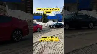 #automobile
