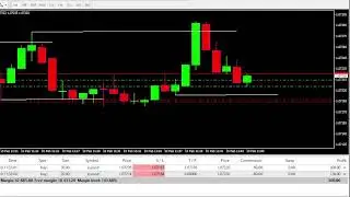 FOREX TRADING LIVE