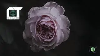 Sleep Party People - Everything Has An End (Sub - Español)