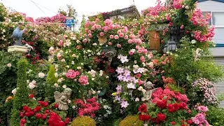 【Private Gardens】Summer gardens of Facilities in Japan. 夏のオープンガーデン  