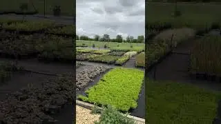 Готовимся к новому сезону