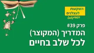 פרק #39 -  המדריך (המקוצר) לכל שלב בחיים