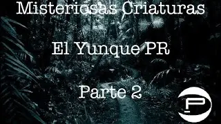 Misteriosas Criaturas En El Yunque PR (La Experiencia de Héctor Jusino) 2 Segunda Parte