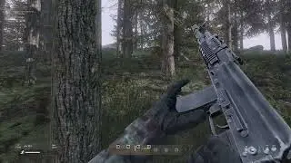Как провести выходные в Dayz Standalone?