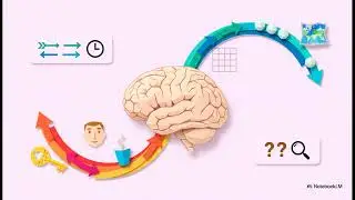 👁️ 🧠 The Visual System: How the Brain Interprets What We See