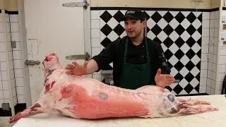 Butchering a Whole Lamb