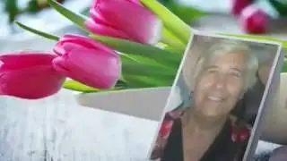 Одноклассники мои, одноклассники