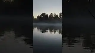 #спиннинг #рыбалка #щука #🎣
