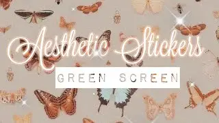 Aesthetic Stickers Green Screen FREE USE