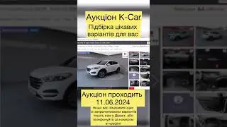 Підбірка цікавих варіантів з аукціонів Південної Кореї 11.06.2024