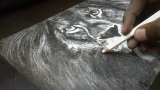 How to Draw | LION drawing tutorial