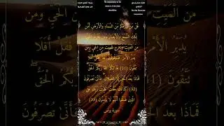 قل من يرزقكم من السماء والأرض 