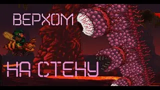 Terraria. Wall of flesh. (Tactics, arena, call)