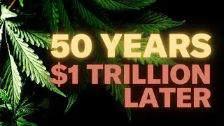 The War on Drugs: A Failure and a Lie