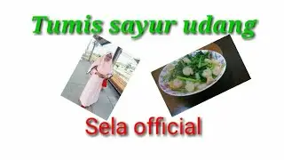 Tumis sayur udang