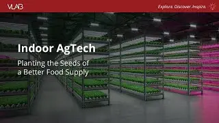 Indoor AgTech: Planting the Seeds of a Better Food Supply