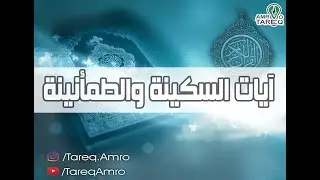 نصف ساعة مع ايات السكينة والطمأنينة \\ القارئ احمد العجمي