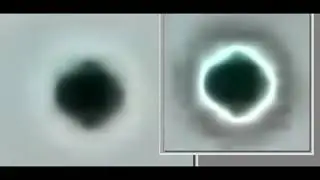 Avvistamenti: fotografie e frames video