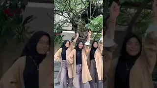 Dita dina dini