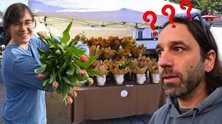 Will Grand Opening Be A Success?