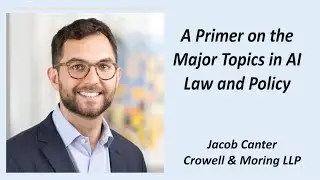 A Primer on the Major Topics in AI Law and Policy
