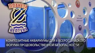 Композитные аквариумы для II Всероссийского форума продовольственной безопасности
