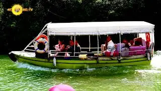 Göksu Nehri İlkbahar Renklerinde Tekne Turu - Ağva İstanbul 4K UHD