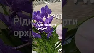 Чудові ідеї для подарунків. Епіцентр. Київ 🌸 