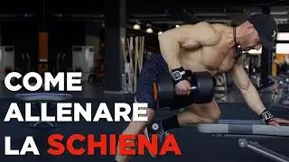 How to train your BACK