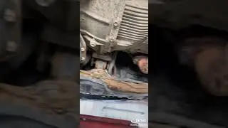 самому интересно как она туда попала