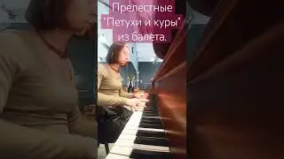 Тетушка Симона (партия Н. Цискаридзе) кормит курочек.🐓 