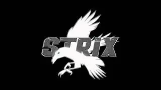 Руководство по STRIX STALKER RP