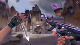 This Bundle is AIMBOT (PHASEGUARD)