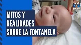También conocida como 