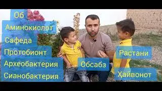 Пайдоиши организмҳои зинда | дарси 01