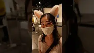 Brainwave Controlled Cat Ears
