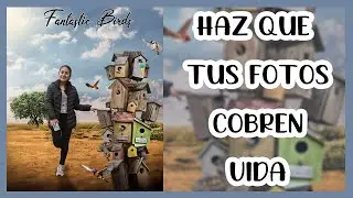 EDICION de fotos en PHOTOSHOP | pájaros fantásticos | el proceso de edición esta PASO A PASO🚀