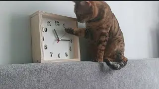 time