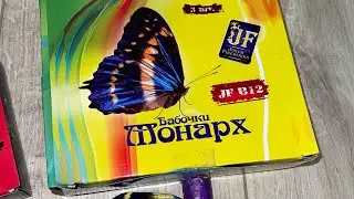 JF B12 Бабочки Монарх 