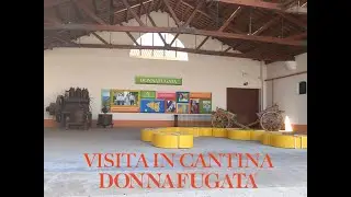 Vincenza Pantaleo "Visita in Cantina Donnafugata"