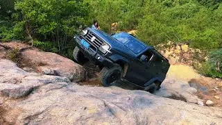 GWM Tank 300 Off-Road Challenge: Conquering All Terrains
