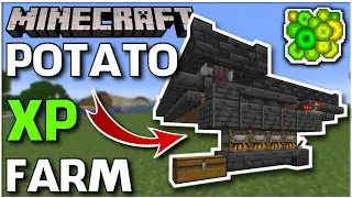 Easy FULL AUTO XP FARM - Early Game, Expandable