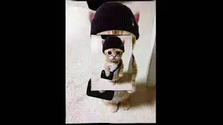 КУБА-Вставай, Донбасс!(speed up)