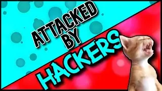 These Cheaters Were So Mad...